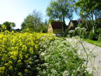 Klik for at se et st�rre billede