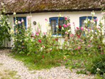 Klik for at se et st�r re billede