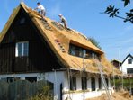 Klik for at se et st�rre billede