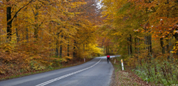 Klik for at se et st�r re billede