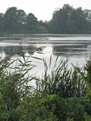 Klik for at se et st�rre billede