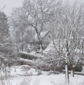 Klik for at se et st�rre billede